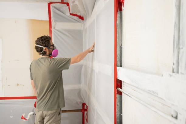 Best Mold Remediation for Vacation Homes  in USA